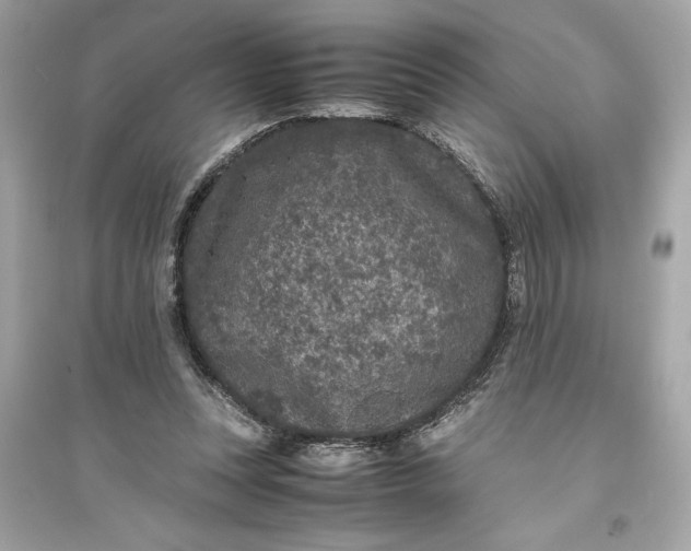 X0000094820351200711301634