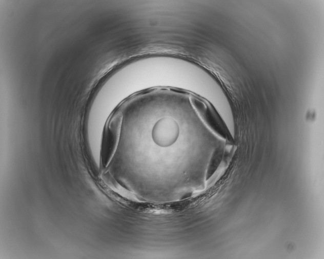 X0000094820352200711301634