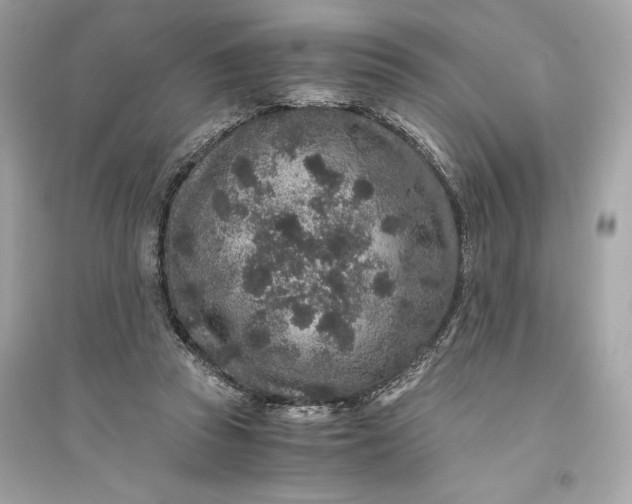 X0000094820353200711301634