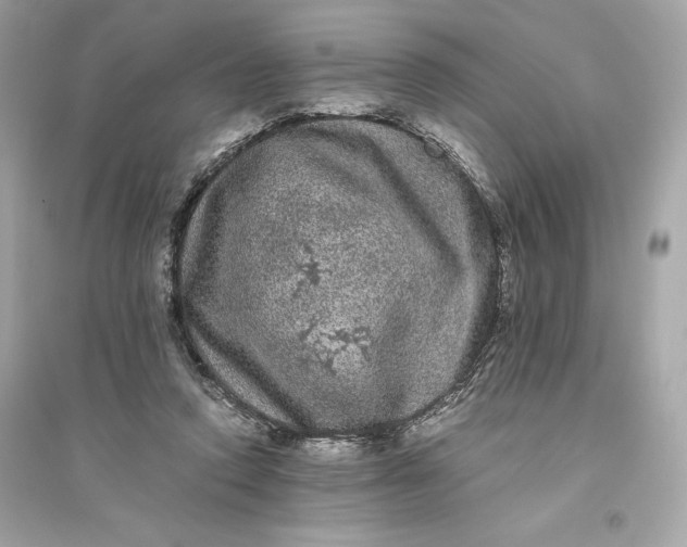 X0000094820354200711301635