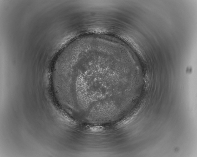 X0000094820355200711301635