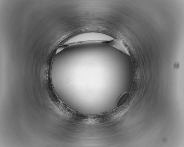 X0000094820356200711301635