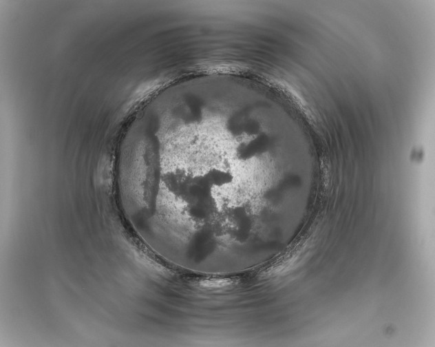 X0000094820357200711301635