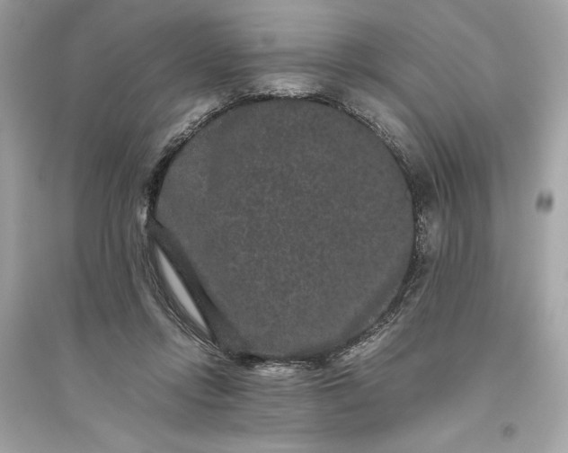 X0000094820358200711301635