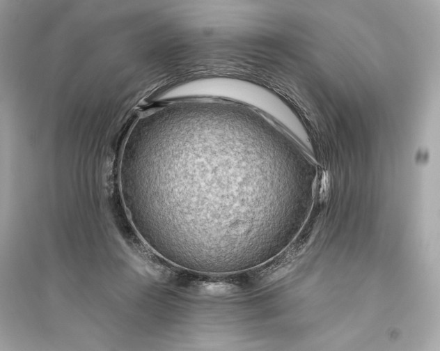 X0000094820360200711301635