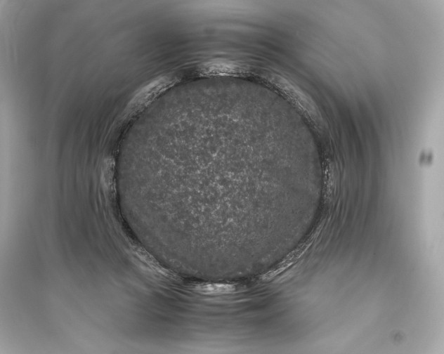 X0000094820361200711301635