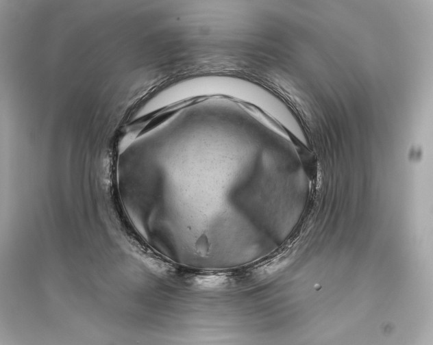 X0000094820362200711301635