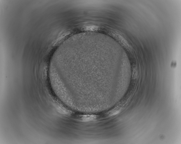 X0000094820363200711301635