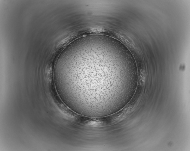 X0000094820364200711301635