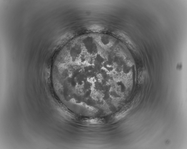 X0000094820365200711301635