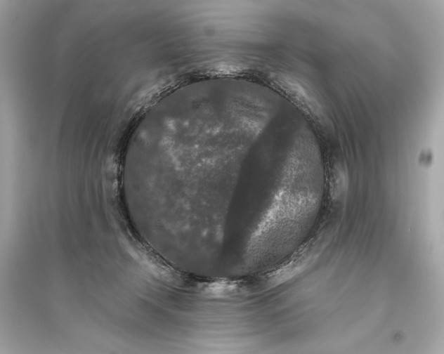 X0000094820366200711301635