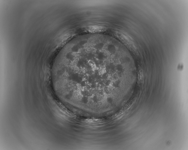 X0000094820367200711301635