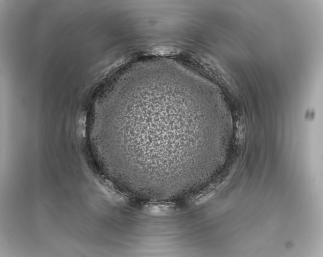 X0000094820368200711301635