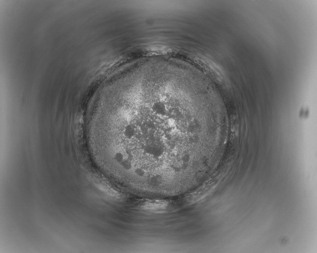 X0000094820369200711301635