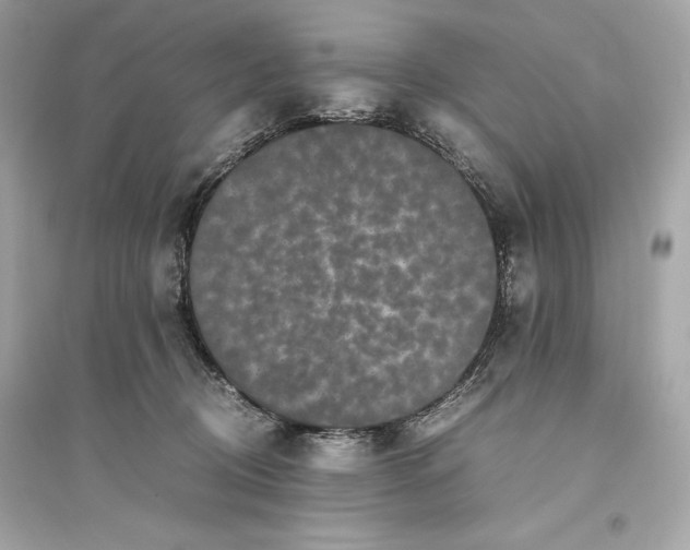 X0000094820370200711301635