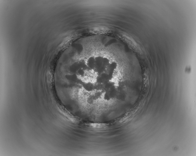 X0000094820371200711301635