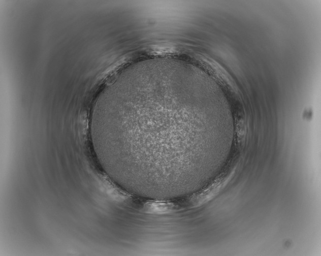 X0000094820372200711301635