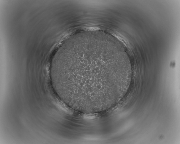 X0000094820373200711301635