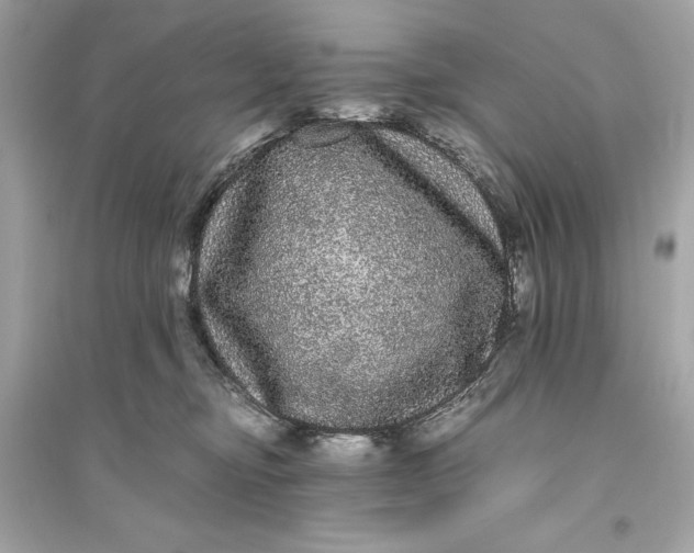 X0000094820374200711301635