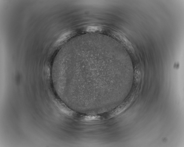 X0000094820375200711301635