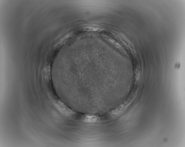 X0000094820376200711301635