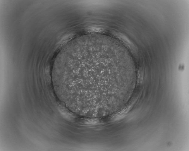 X0000094820377200711301635