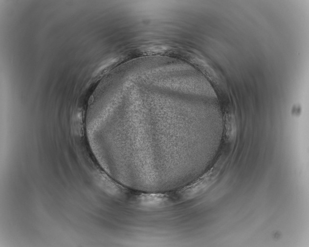 X0000094820378200711301635