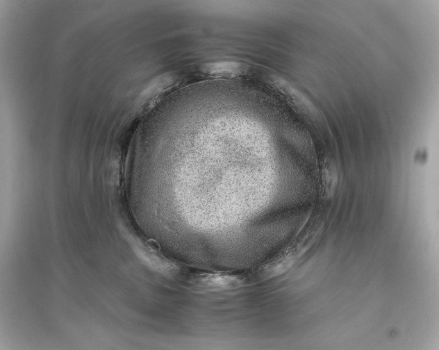 X0000094820379200711301635