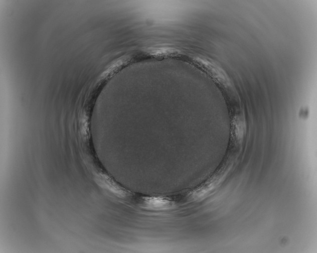 X0000094820380200711301635