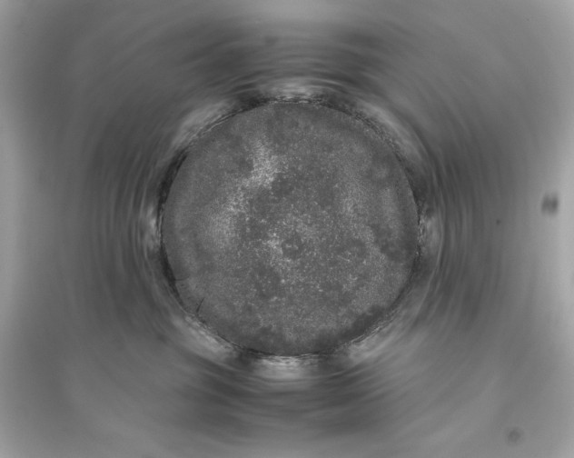 X0000094820381200711301635