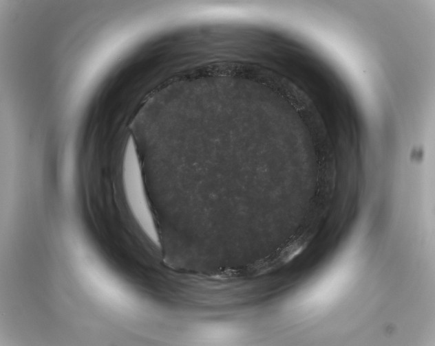 X0000094820382200711301635