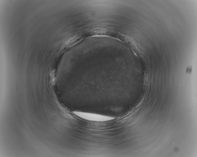 X0000094820383200711301635