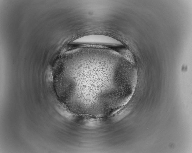 X0000094820384200711301635