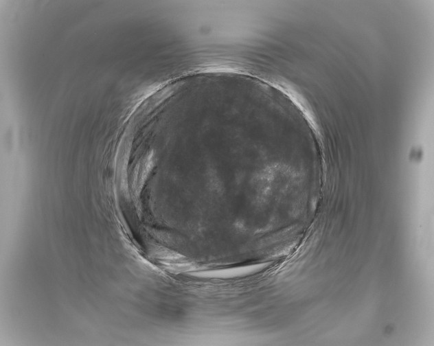 X0000094820385200711301634