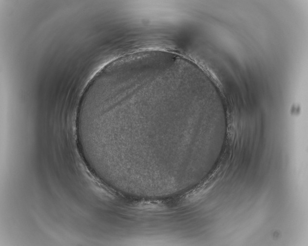 X0000094820386200711301634