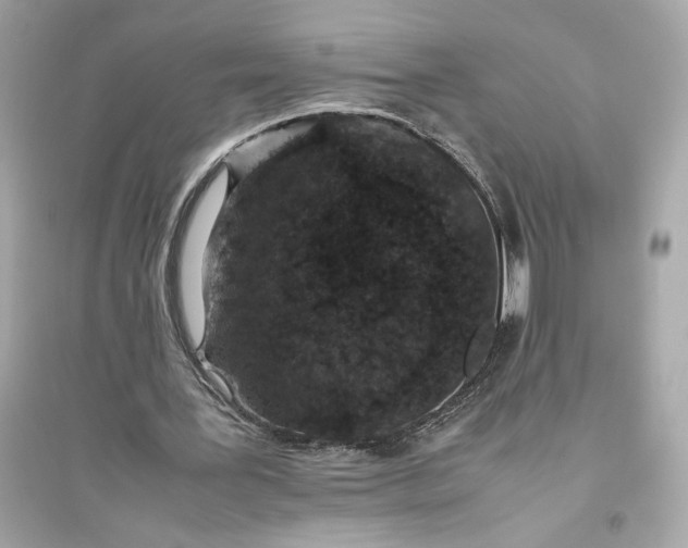 X0000094820387200711301634