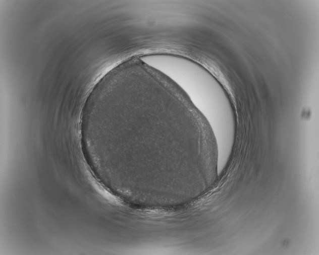 X0000094820389200711301634