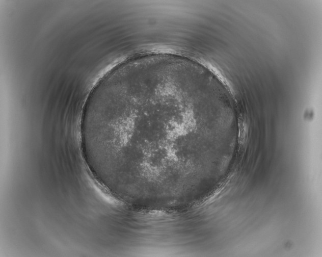 X0000094820390200711301634