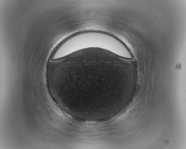 X0000094820391200711301634