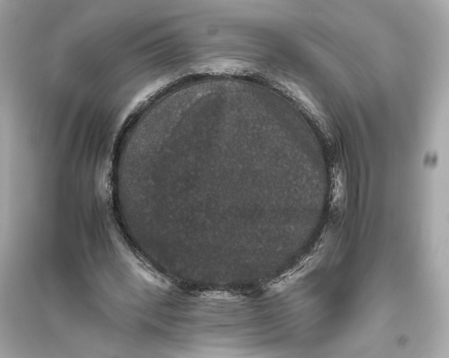 X0000094820392200711301634