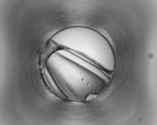 X0000094820393200711301634