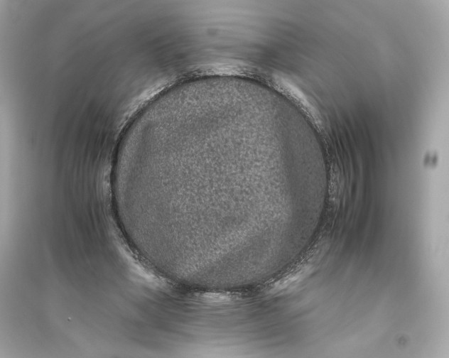 X0000094820394200711301634