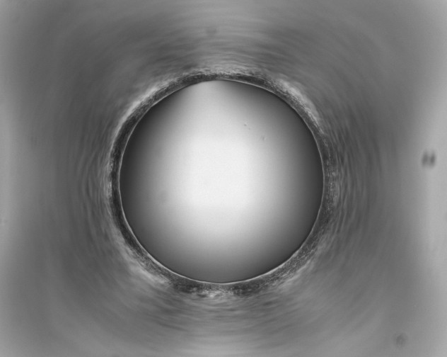 X0000094820395200711301634