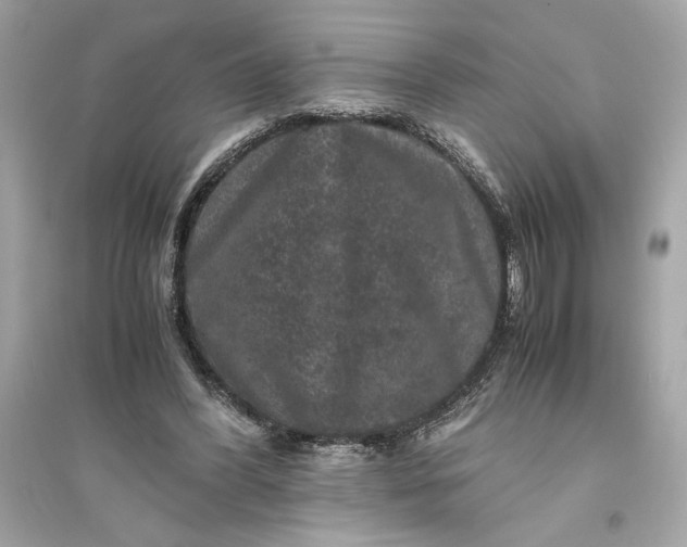 X0000094820396200711301634