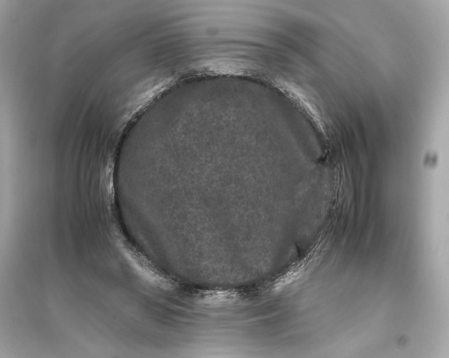 X0000094820398200711301634