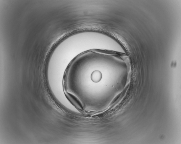 X0000094820399200711301634