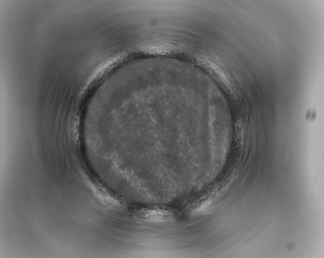 X0000094820400200711301634