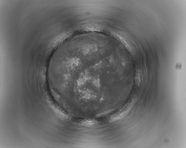 X0000094820402200711301634