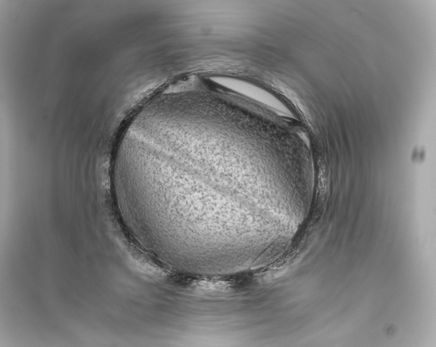 X0000094820403200711301634