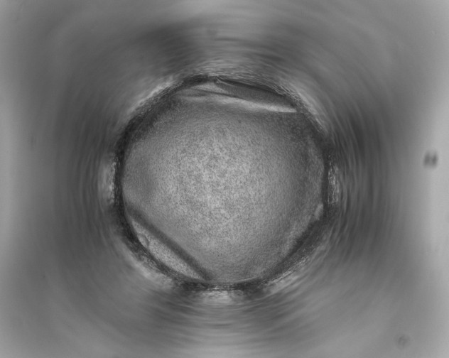 X0000094820404200711301634